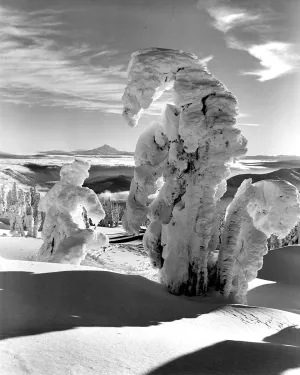 5889B Winter storms sculpture Mt Hood Oregon