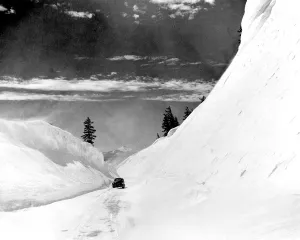 6399A Road to Timberline distant Mt Jefferson Oregon