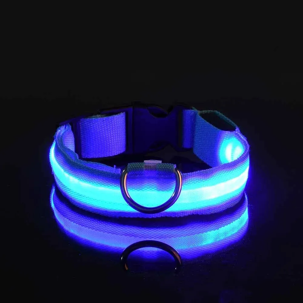 Dog Collar with LED Light