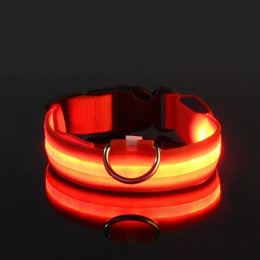 Dog Collar with LED Light