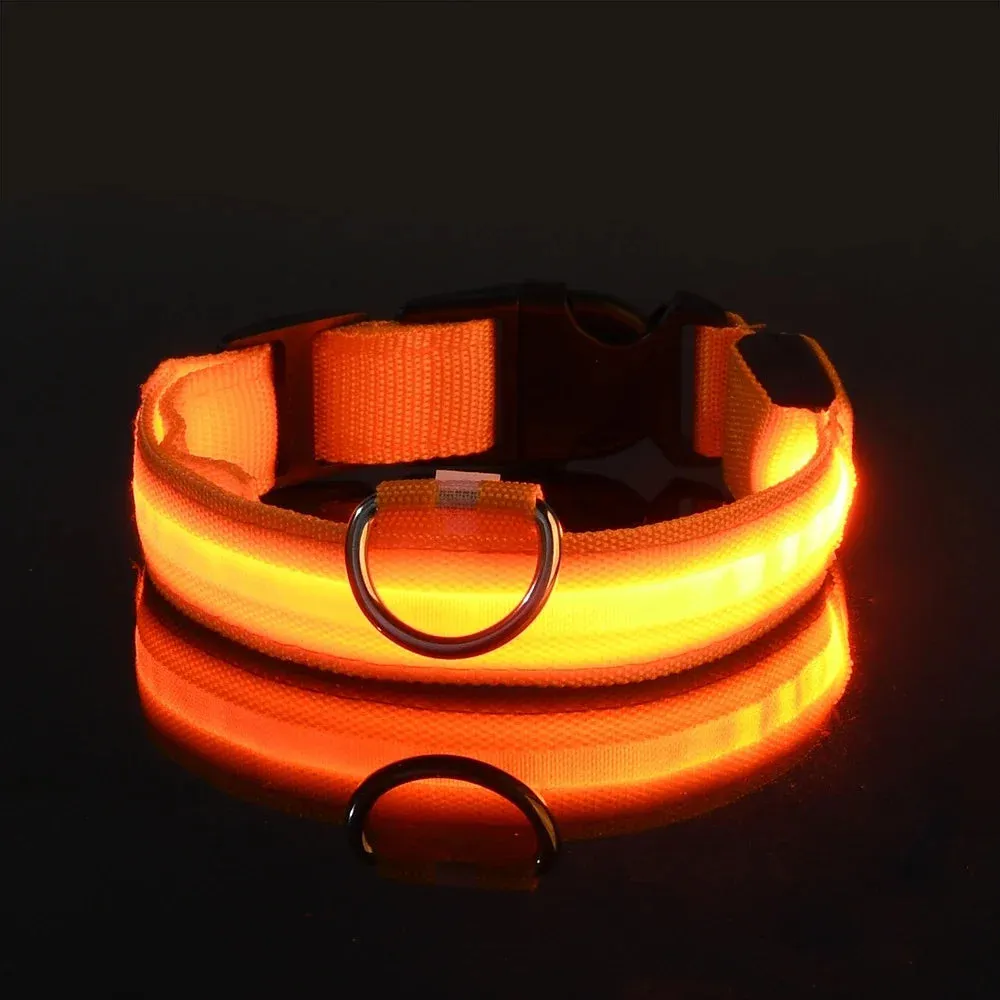 Dog Collar with LED Light
