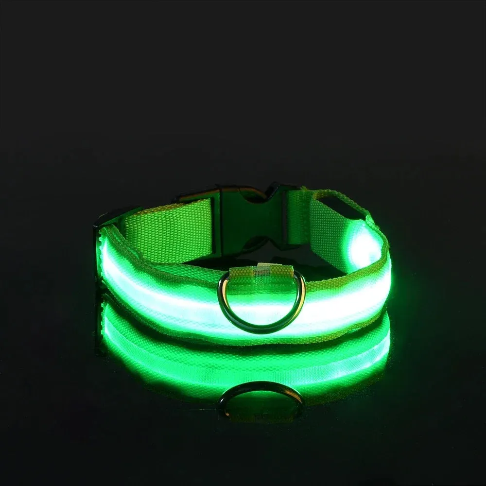 Dog Collar with LED Light
