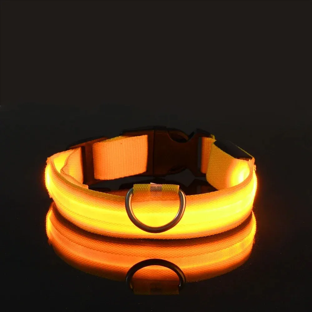 Dog Collar with LED Light