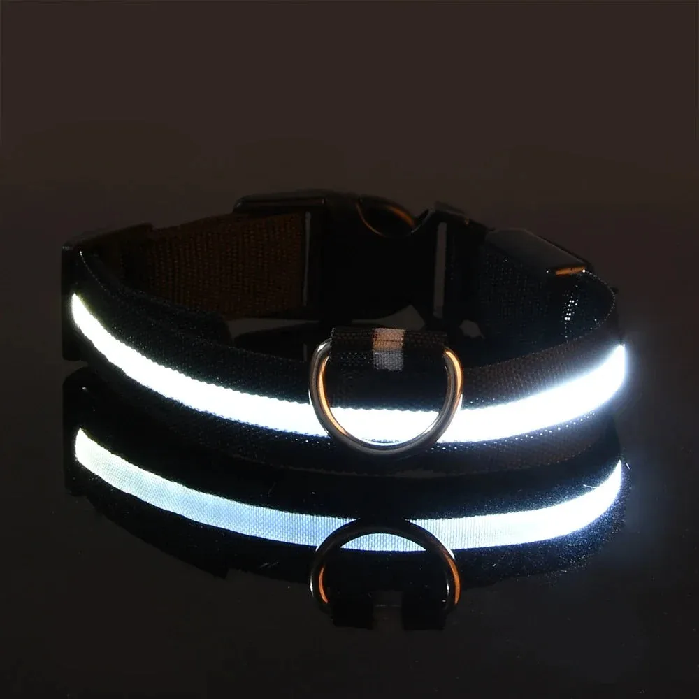 Dog Collar with LED Light
