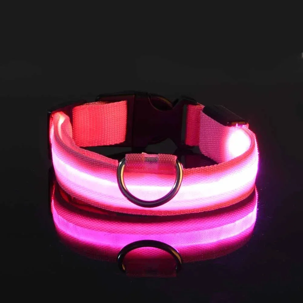 Dog Collar with LED Light