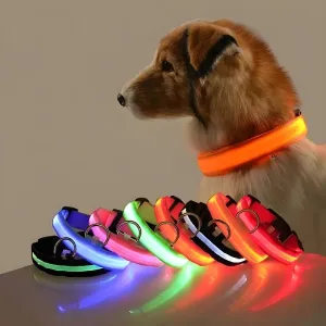 Dog Collar with LED Light