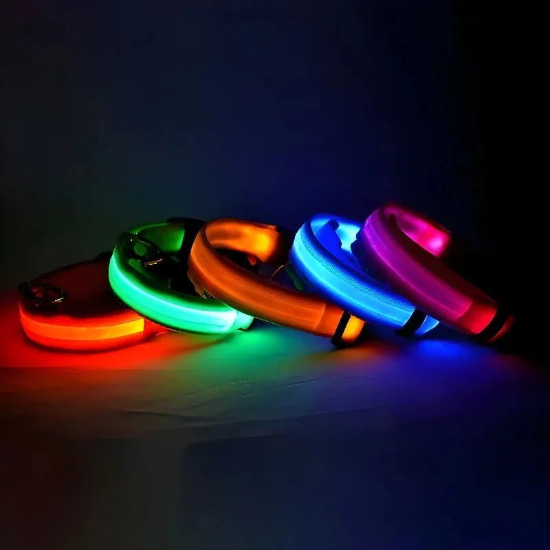 Dog Collar with LED Light