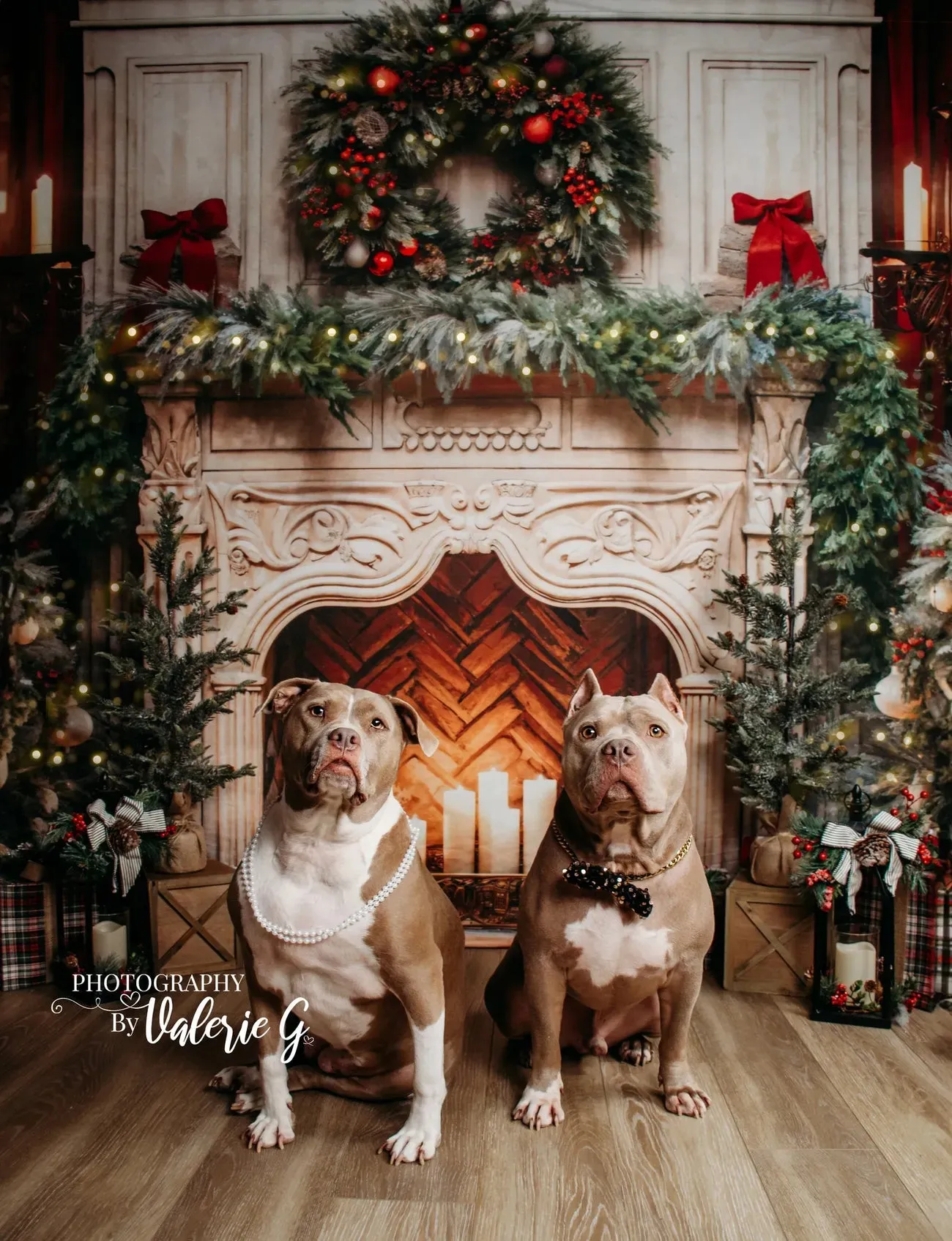 Kate Christmas Tree Fireplace Red Fleece Backdrop Designed by Emetselch