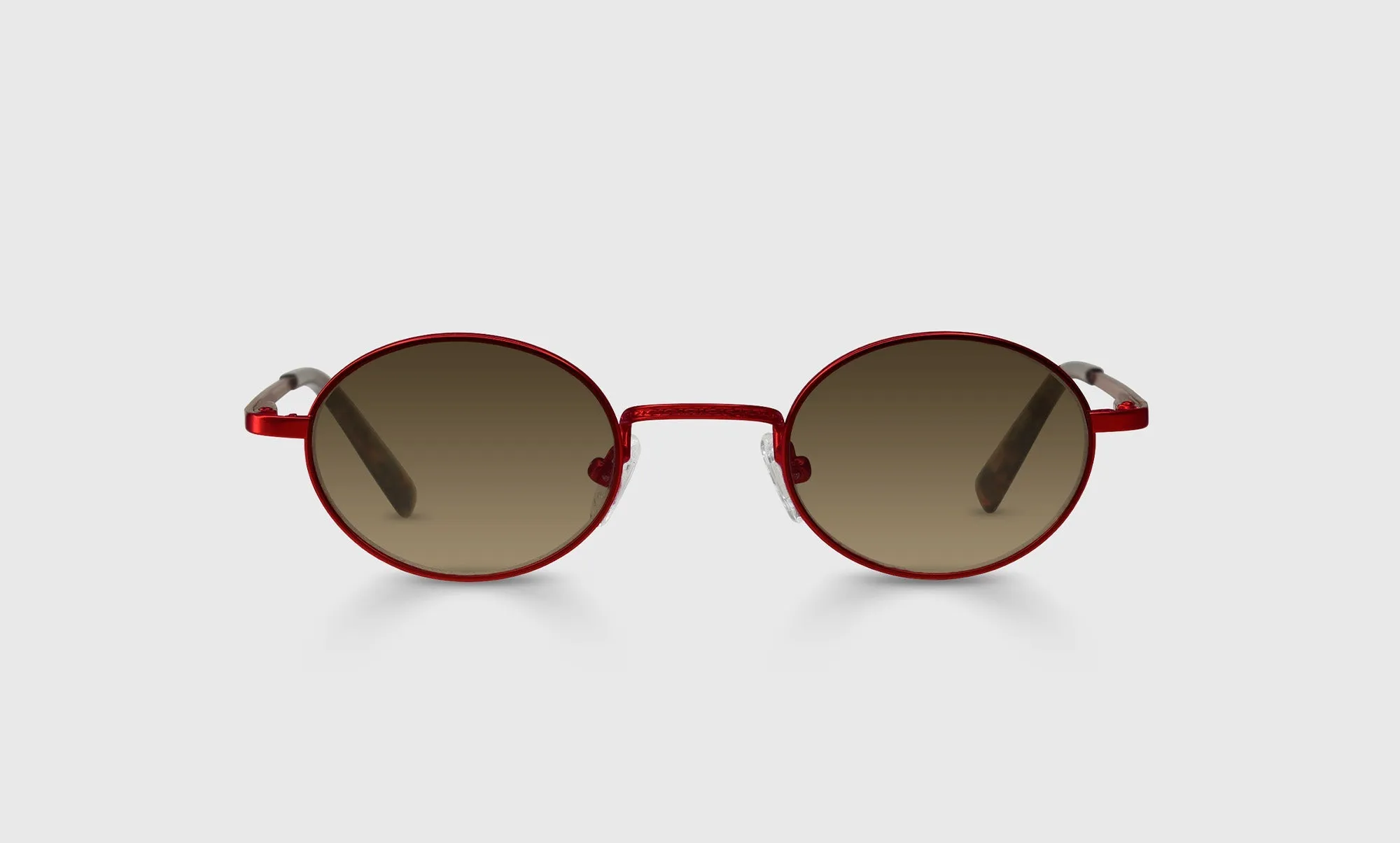 Teddy Sunglasses